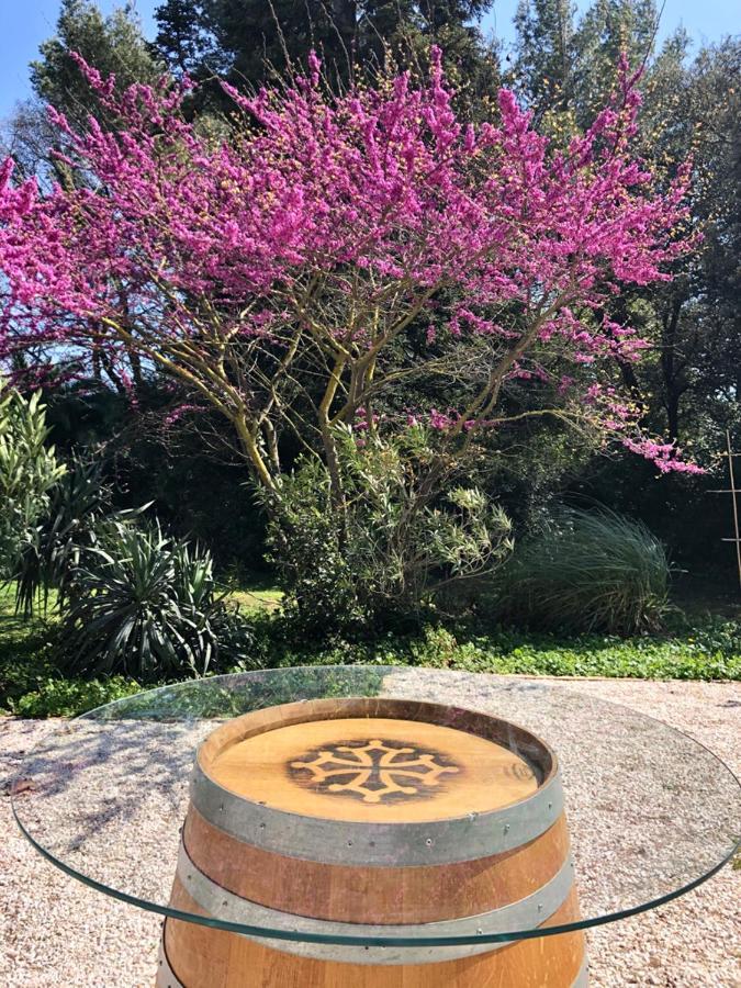 Le Nid Des Corbieres Acomodação com café da manhã Bizanet Exterior foto